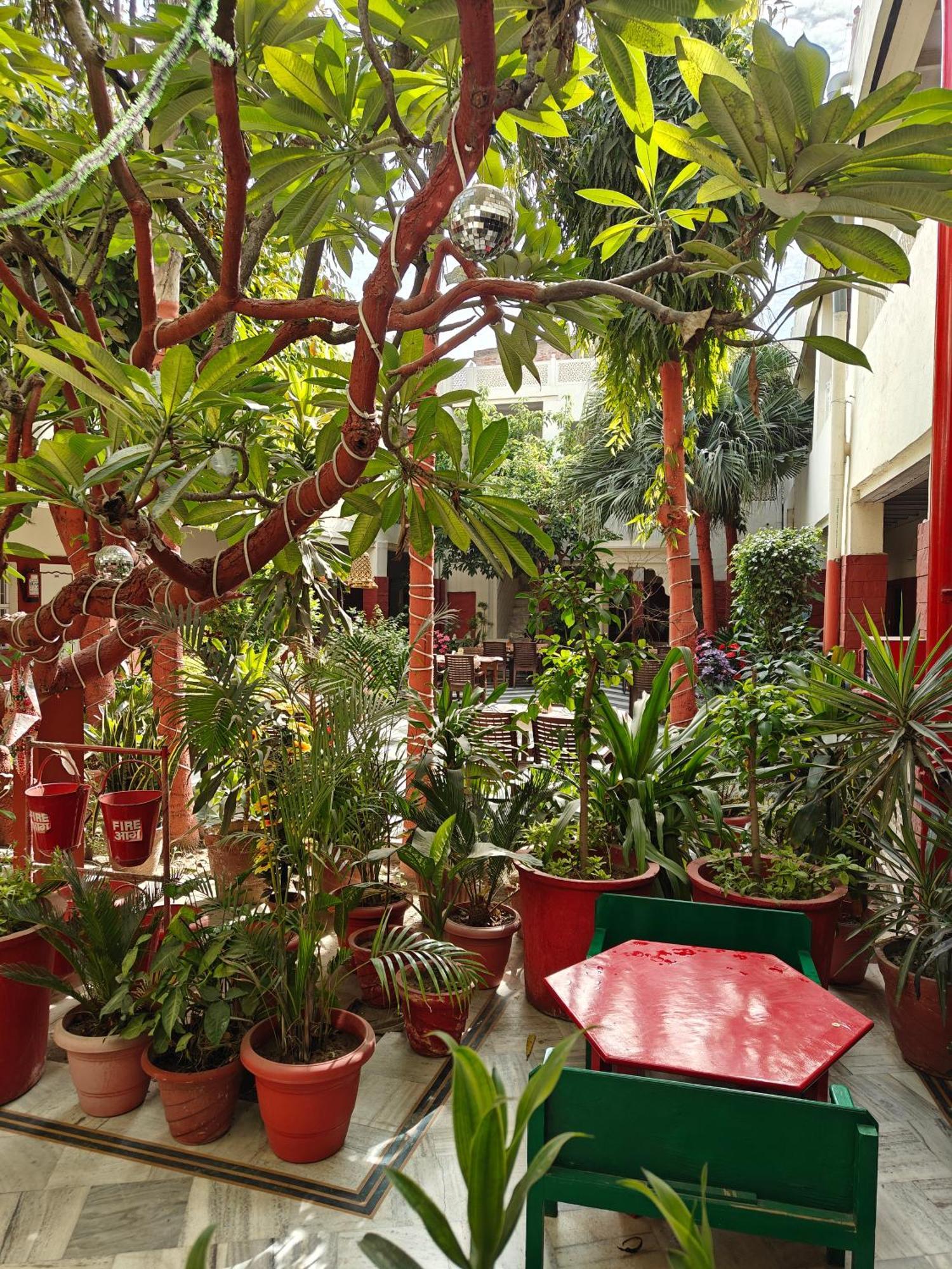 阿格拉 游客休息之家酒店 外观 照片